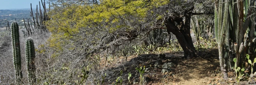 Arikok National Park