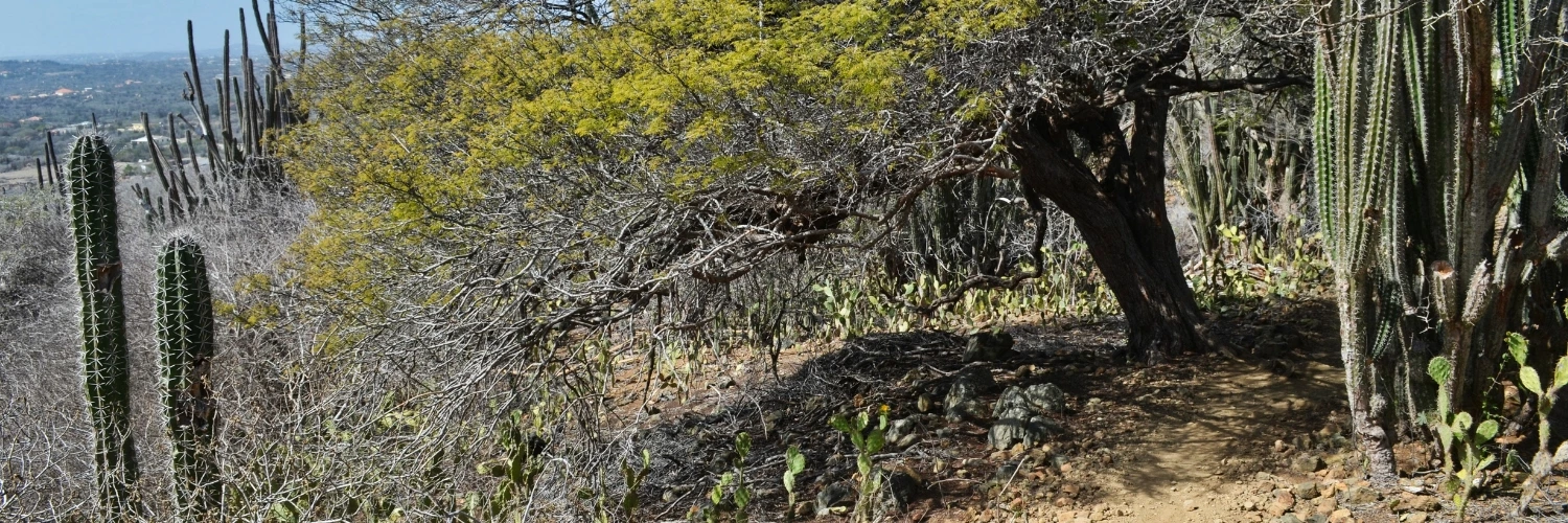 Arikok National Park