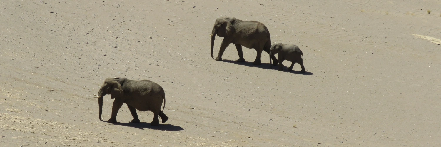 Kunene and Damaraland
