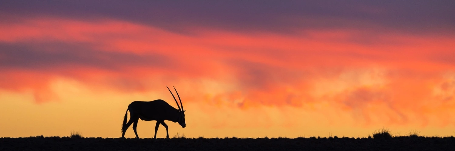 Sossusvlei and Namib Rand