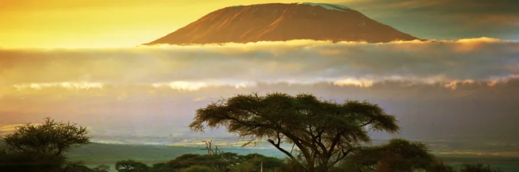 Mount Kilimanjaro