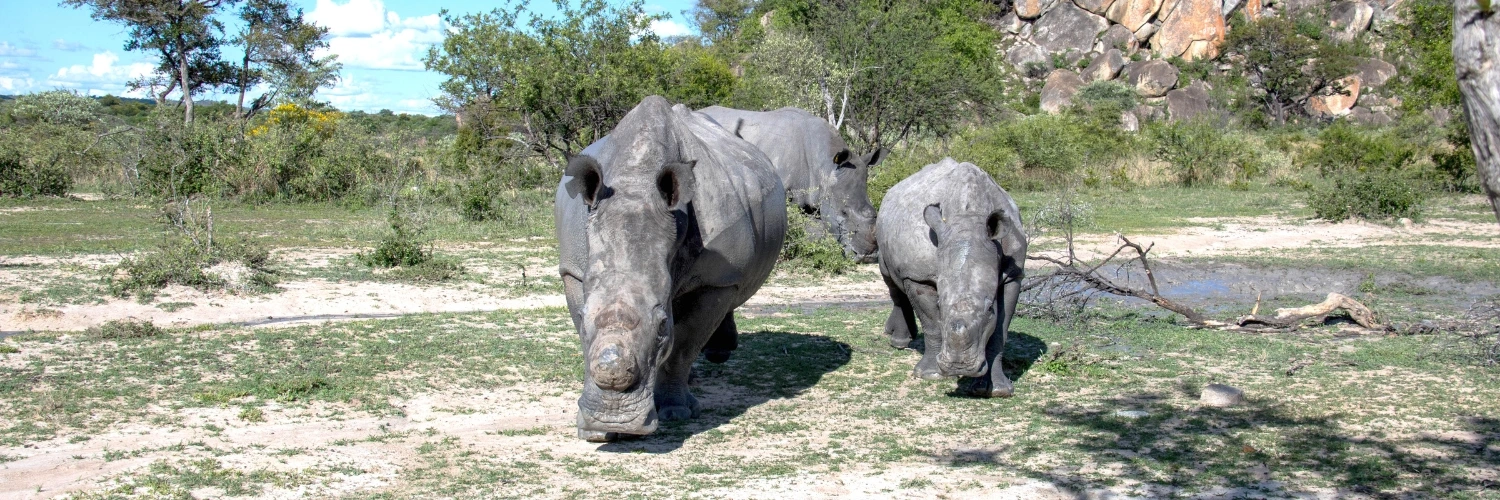 Matobo National Park